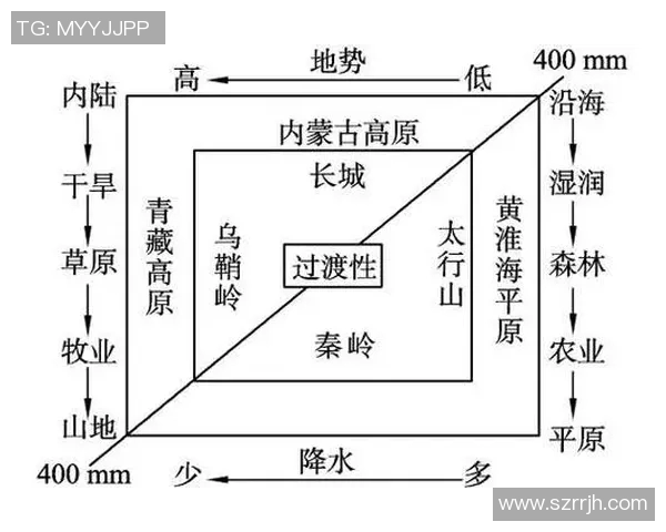 武汉网球队节奏表现分析与战术调整的深度探讨